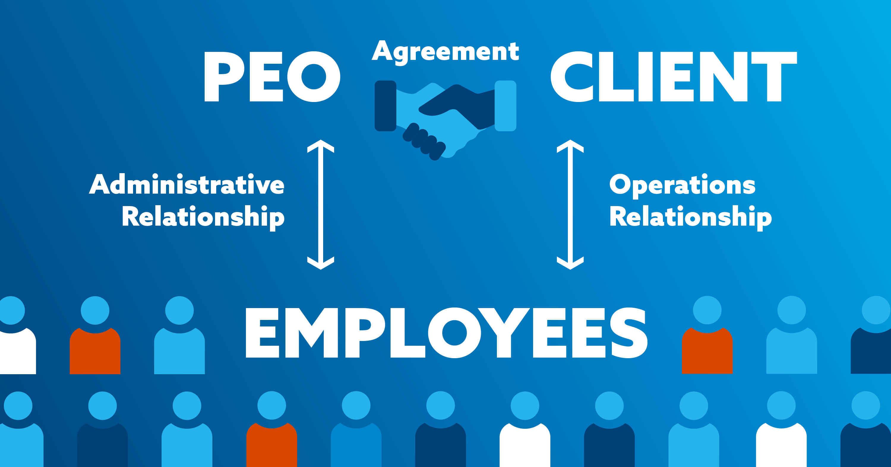 What is a Professional Employer Organization (PEO)?